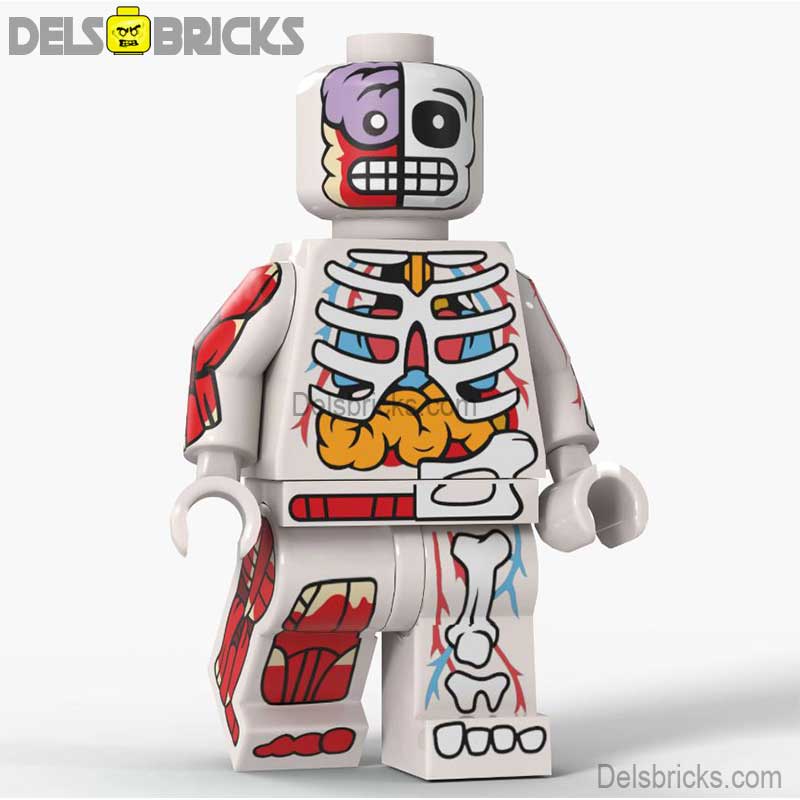 Human Body White (Anatomy) Custom Building Blocks Mini Figures Compatible with LEGO