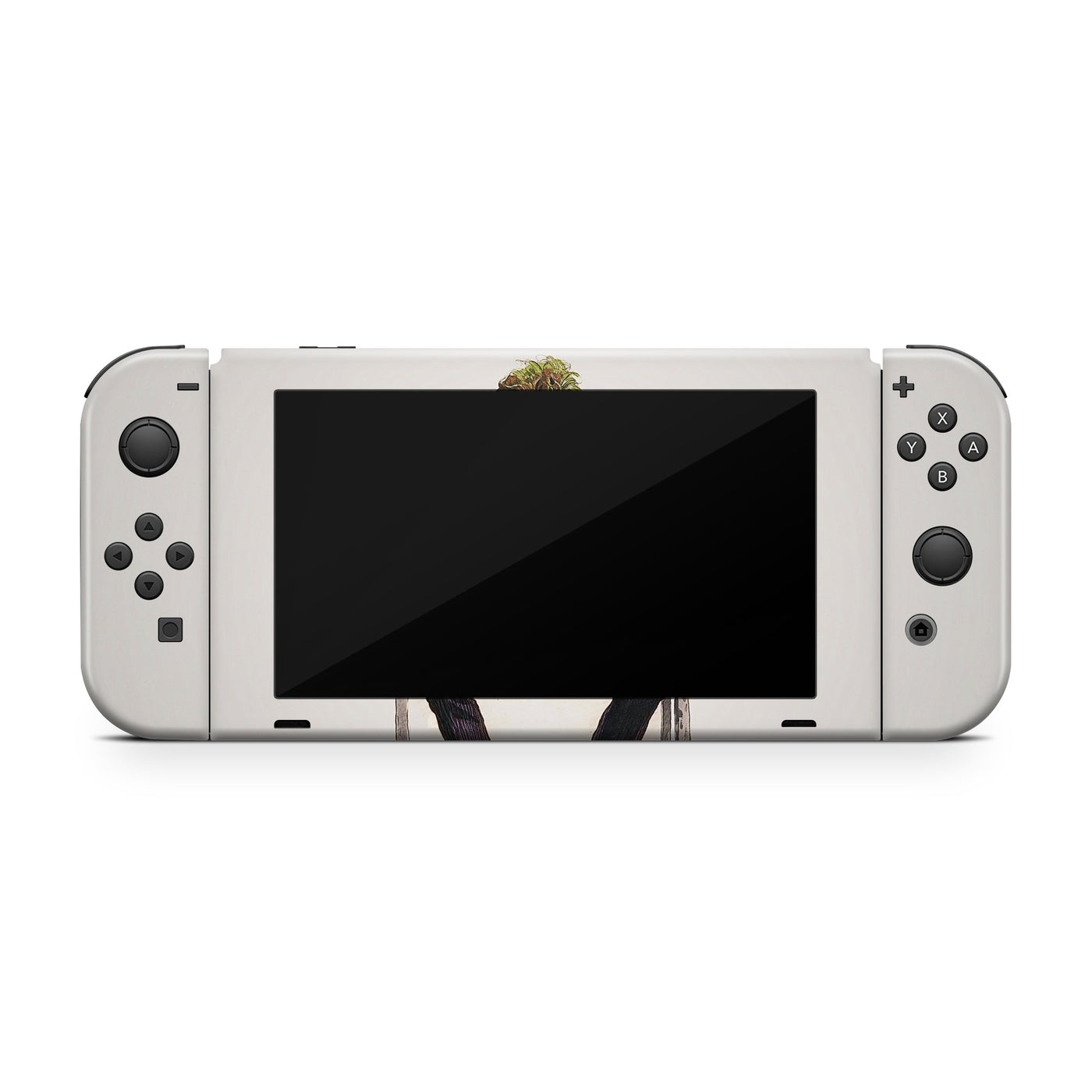 King of Mayhem Nintendo Switch Skin