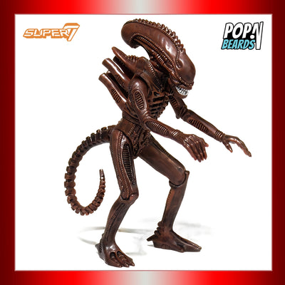 Super7: Aliens, Alien Warrior Dusk