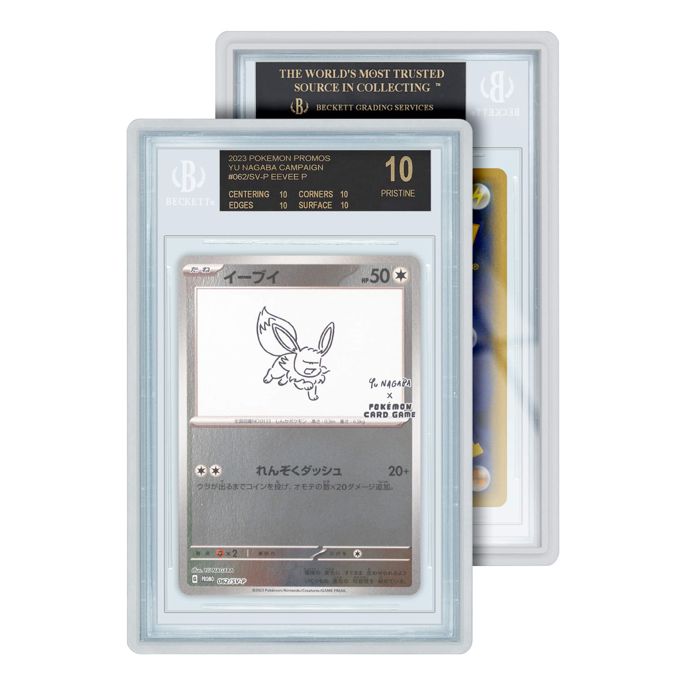 Frosted Clear Standard Protective Case for Graded Cards (BGS) - GradedGuard