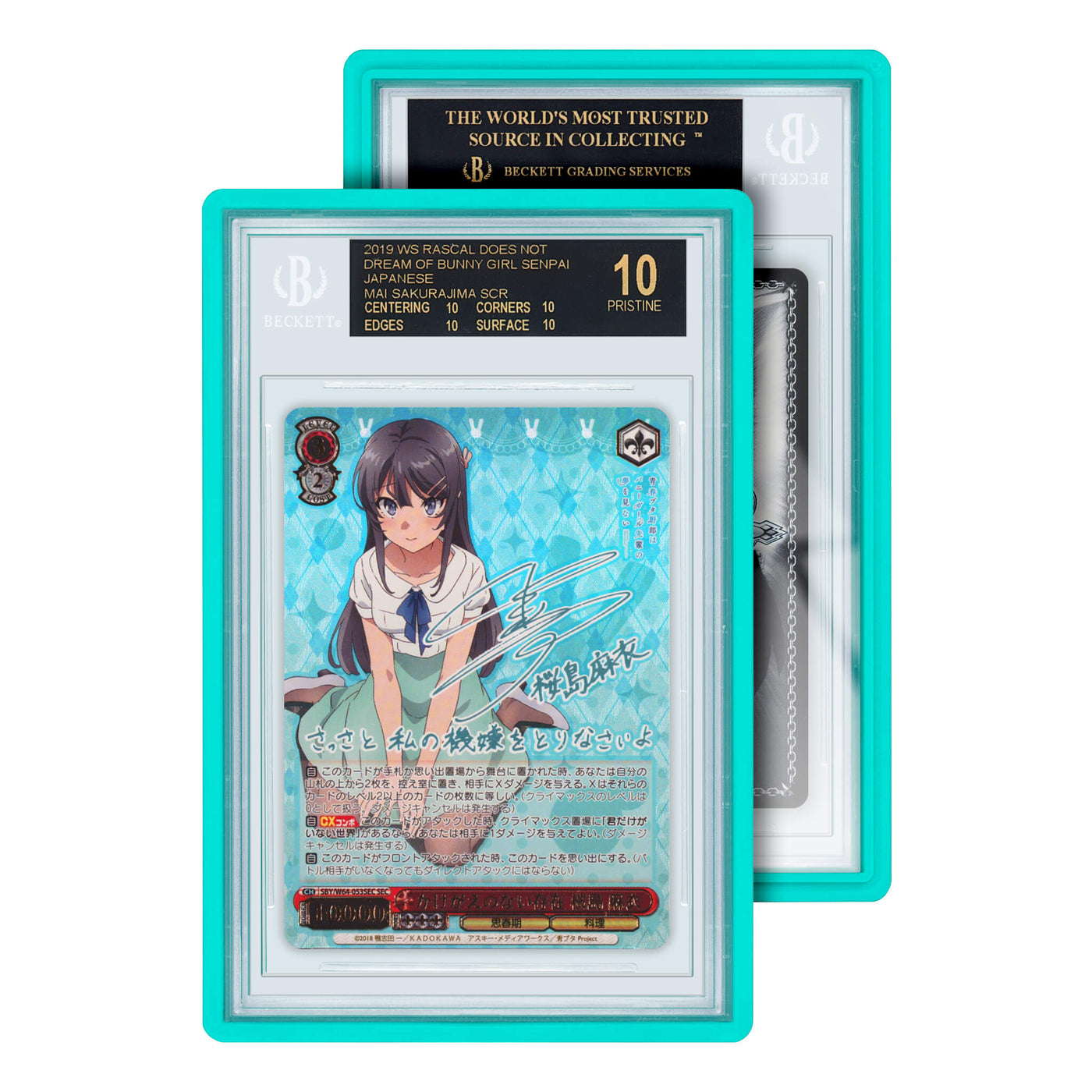 Mint Standard Protective Case for Graded Cards (BGS) - GradedGuard