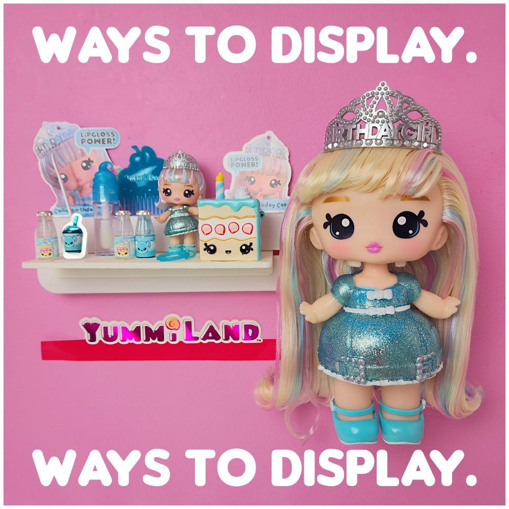 Mixed Set #2 (1 Short & 1 Long Ledge, 8 Reversible Holders, 7 Doll Hoo ...