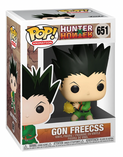 POP! Animation: 651 HxH, Gon Freecss