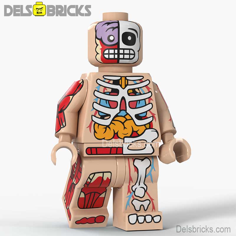 Human Body Skin (Anatomy) - Custom Building Blocks Mini Figures Compatible with LEGO