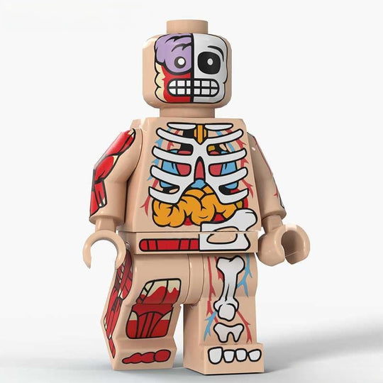 Human Body Guy Beige (Visible Anatomy) - Custom Building Blocks Mini F ...