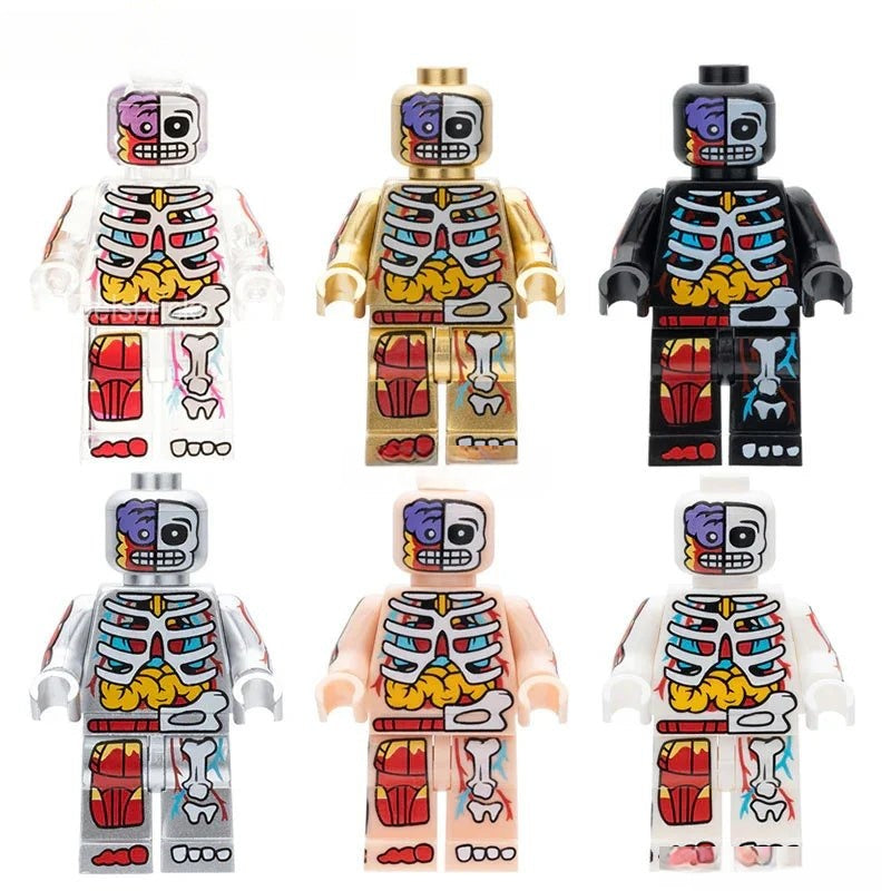 Set of 6 - Human Body Visible Anatomy Man (Anatomy) - Custom Building ...