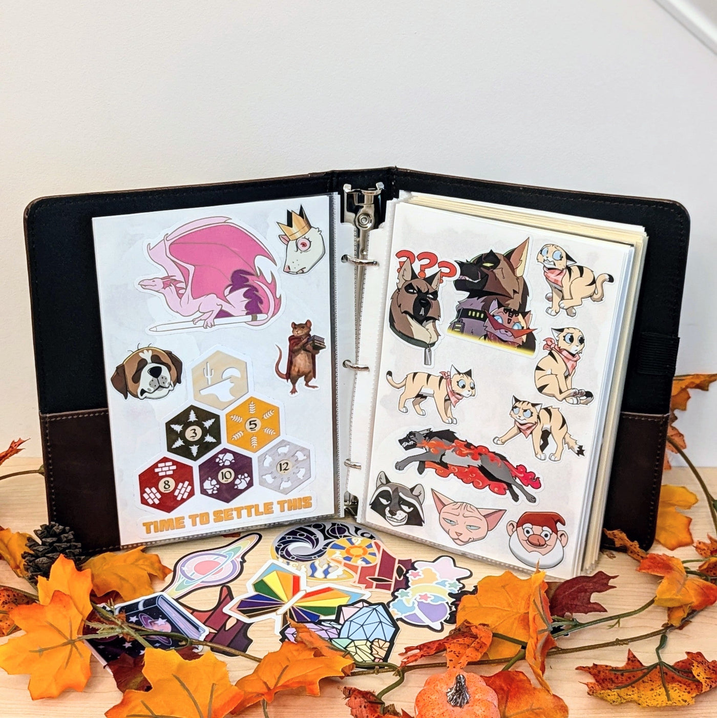 Reusable Sticker Collection Album