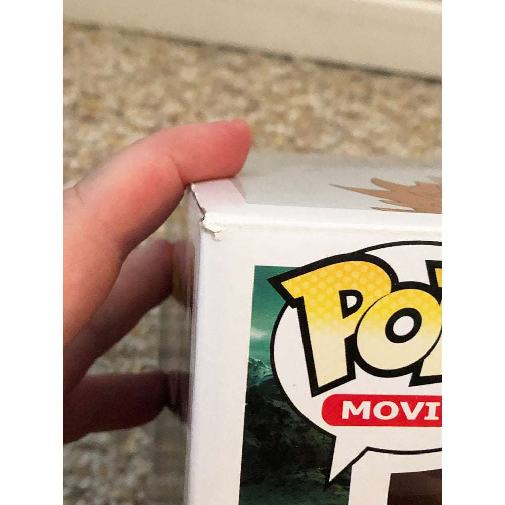 Funko Pop Lord of the Rings inch Smaug Chase No Sticker– Display