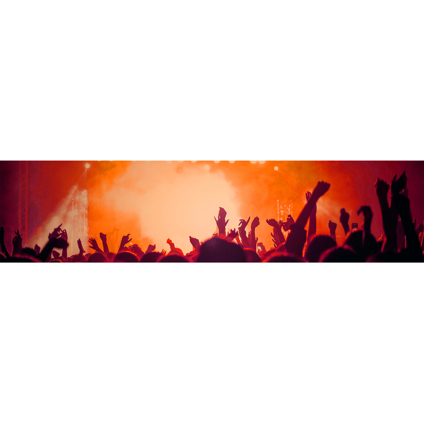 ROCK CONCERT - Backdrop Inserts for CLASSIC Display Geek Shelves (Limited Edition) - Display Geek